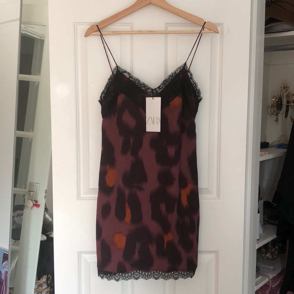 Zara Women's Purple and Black Lace Slip Dress
